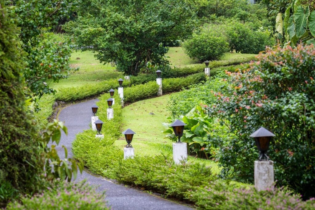 Singapore Gardening Services